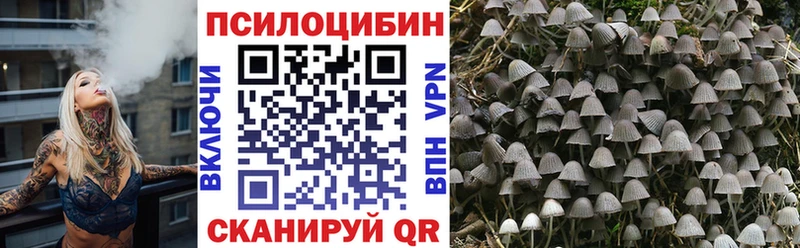 Купить  Усть-Кут  Псилоцибиновые грибы Psilocybe 